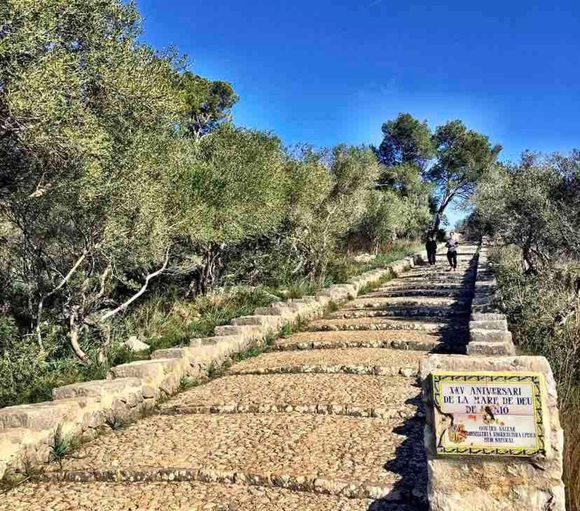 Ca Na Cati Cvmrentainca Ferienhaus Inca (Mallorca)